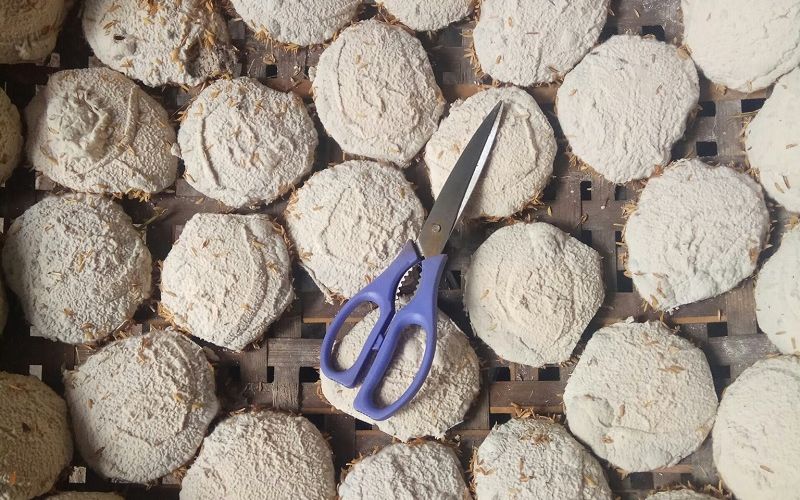 Men rượu - thứ nguyên liệu đặc trưng tạo nên vị rượu quê  Men rượu - thứ nguyên liệu đặc trưng tạo nên vị rượu quê