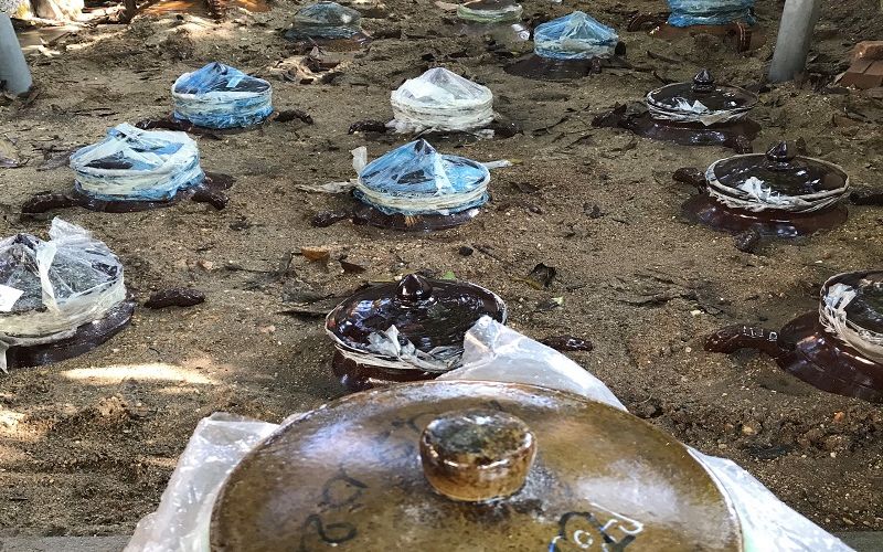 Giải mã lý do rượu quê càng để lâu càng ngon? Giải mã lý do rượu quê càng để lâu càng ngon?