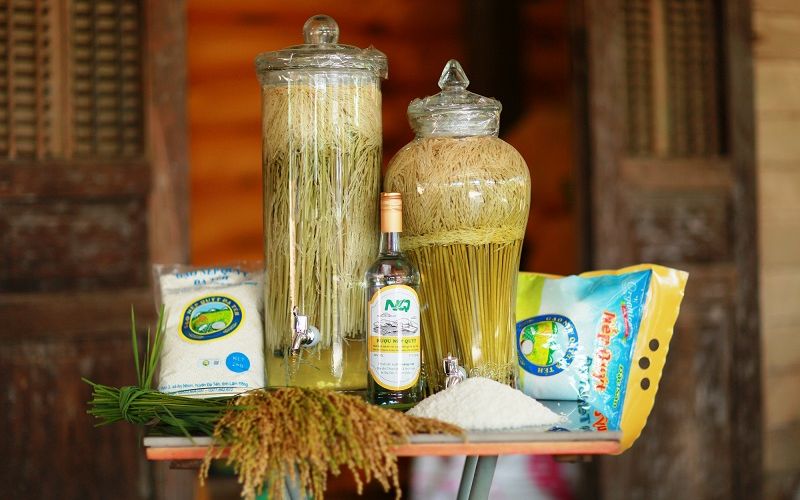 3 bí quyết vàng giúp rượu đòng đòng ngâm thơm ngon, đậm vị  3 bí quyết vàng giúp rượu đòng đòng ngâm thơm ngon, đậm vị