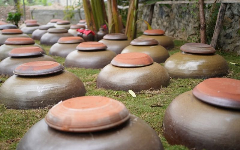 Tổng hợp 5 loại rượu ngâm tốt cho sức khỏe  Tổng hợp 5 loại rượu ngâm tốt cho sức khỏe