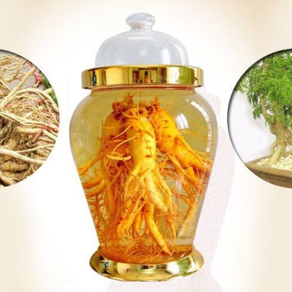 Rượu Đinh Lăng