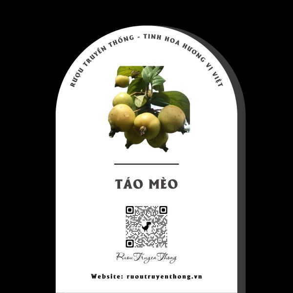 Rượu Táo Mèo