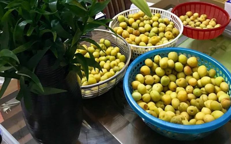 Cách ngâm rượu mơ đơn giản, ngon tuyệt vời!! Cách ngâm rượu mơ đơn giản, ngon tuyệt vời!!