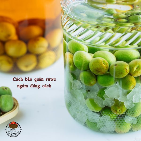 bảo quản rượu ngâm